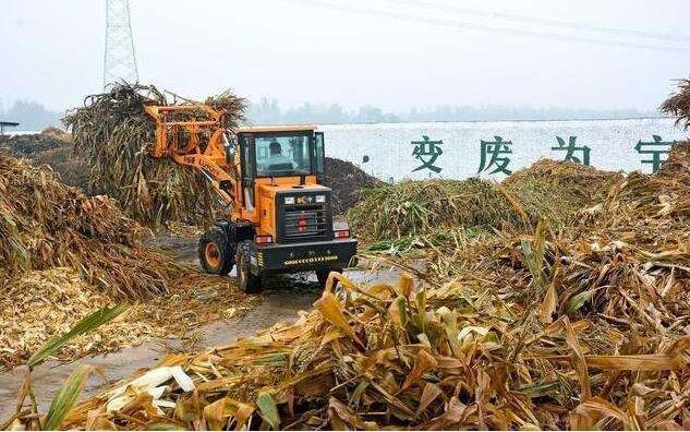 黑土地上的‘秸稈經(jīng)紀(jì)人’要讓秸稈牛起來，變成‘寶’