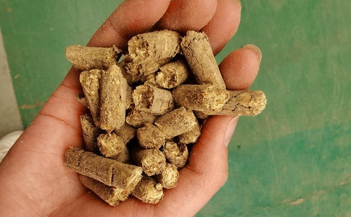 秸稈飼料顆粒機(jī)提高秸稈利用率，飼料顆粒機(jī)是以玉米、豆粕、秸稈、草、稻殼等為原料，通過(guò)粉碎原料后直接壓制成顆粒的飼料加工機(jī)械。